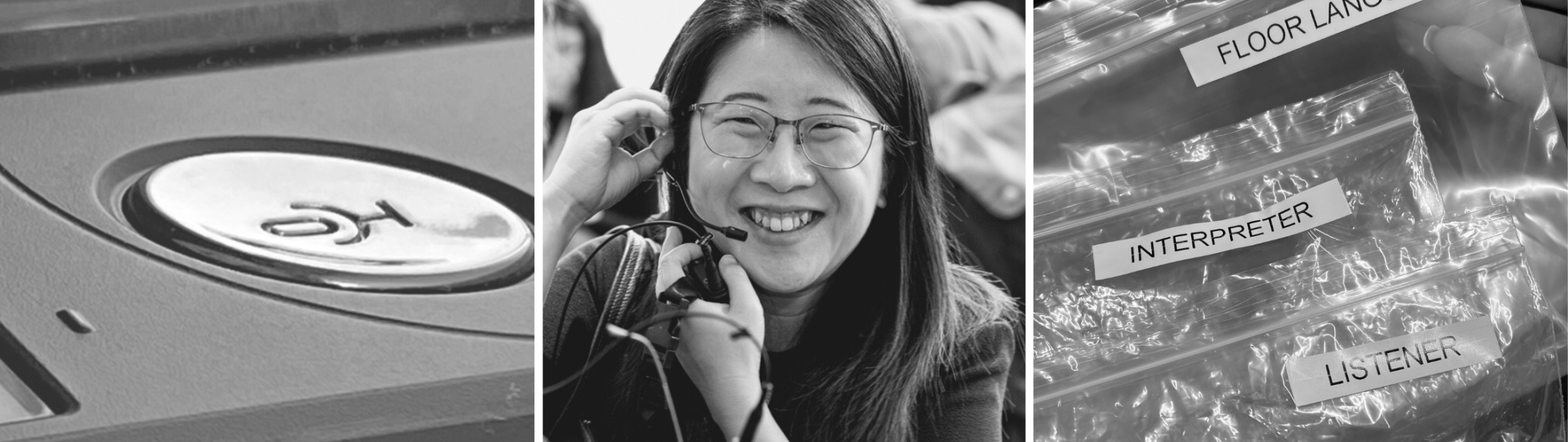 Language Interpretation Systems  