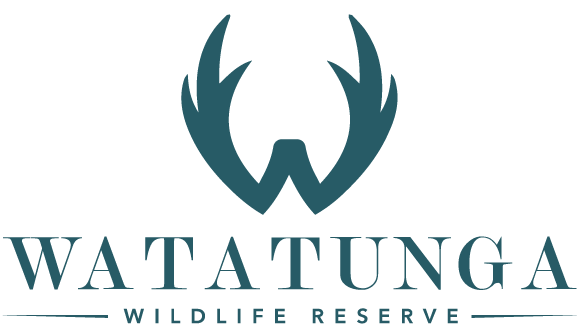 Watatunga Wildlife Tours and Accommodation in Norfolk